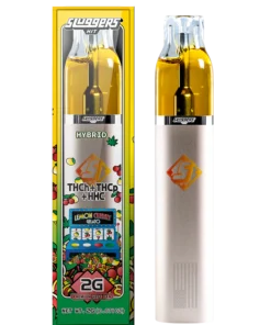 Sluggers Hit Switch 2G