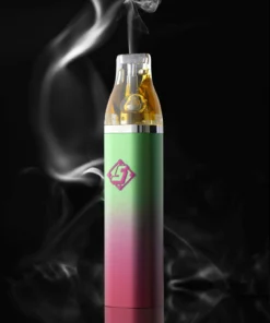 Sluggers Hit Disposable 2G